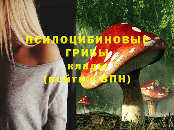 дживик Нефтекумск