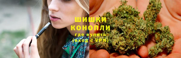 дживик Нефтекумск