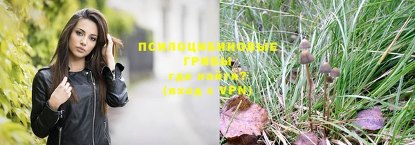 PSILOCYBIN Нея
